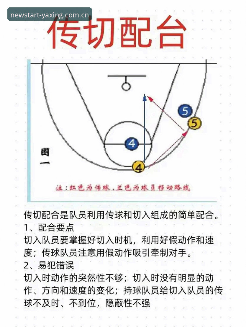 亚星专业体育数据教程 亚星专业体育数据教程详解:v2.3.1版本上手指南与2024赛季实战